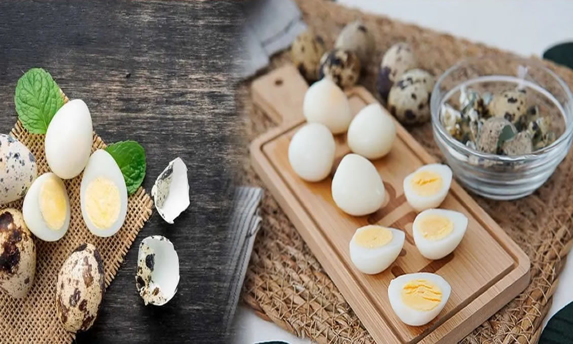 ¿Por qué es bueno comer huevo de codorniz?